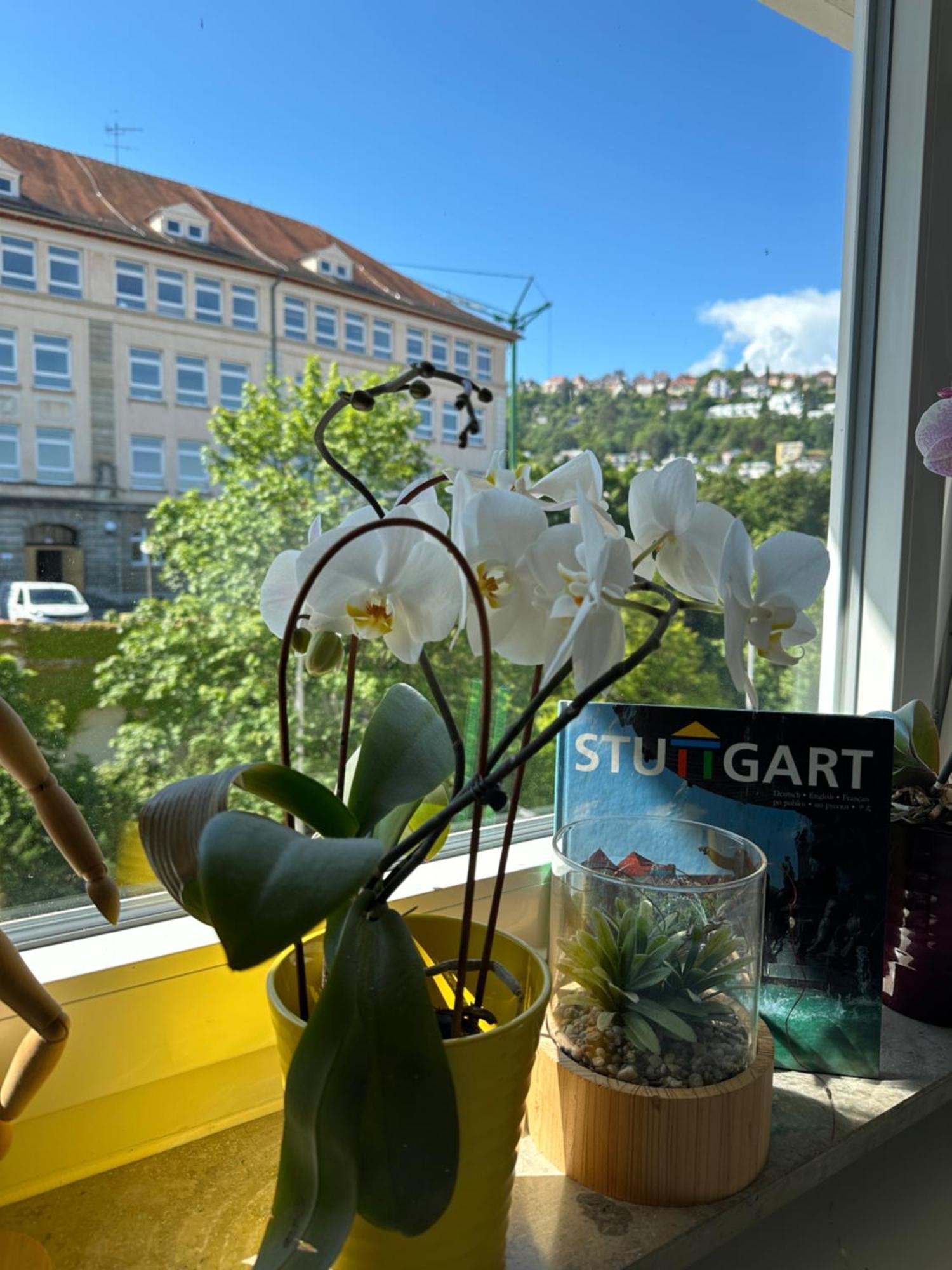 Apartamento Renovated Flat - Prime Location Near Marienplatz Stuttgart Exterior foto